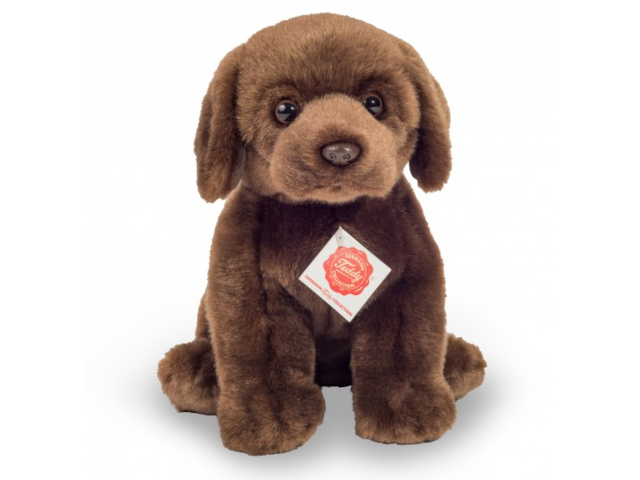 Labrador sitzend dunkelbraun 25 cm