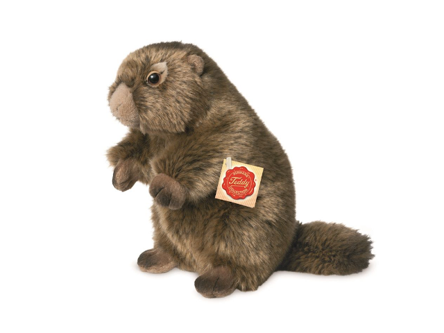 Murmeltier 20 cm
