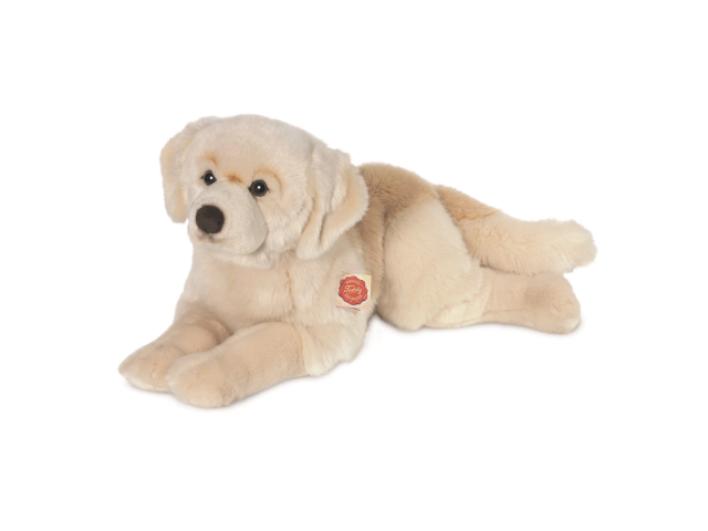 Golden Retriever liegend 60 cm