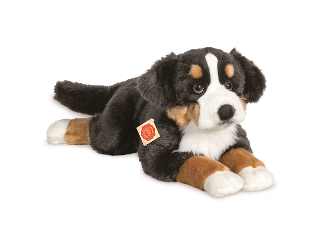 Berner Sennenhund liegend 60 cm