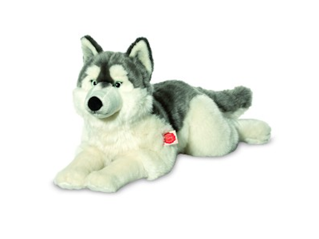 Husky liegend 60 cm