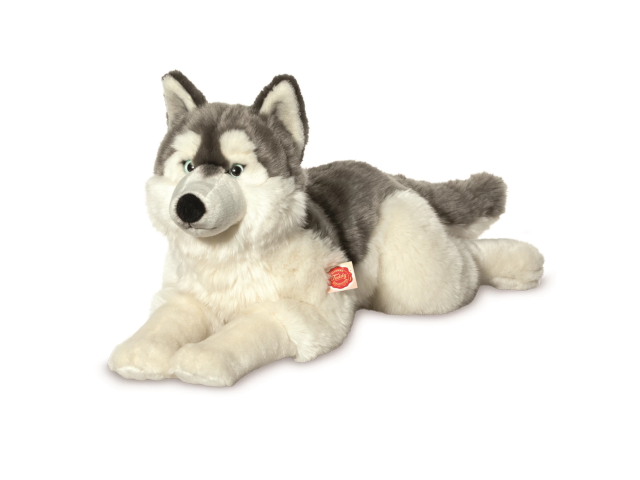 Husky liegend 60 cm