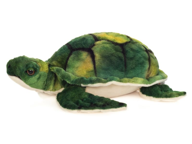 Wasserschildkröte 23 cm