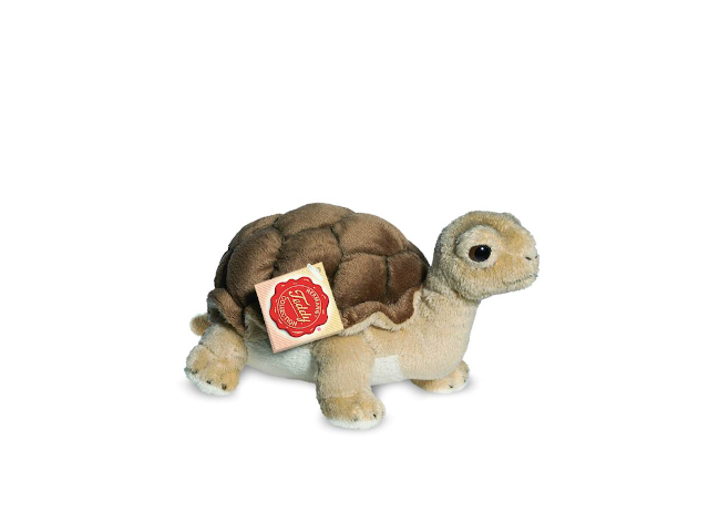 Schildkröte 20 cm