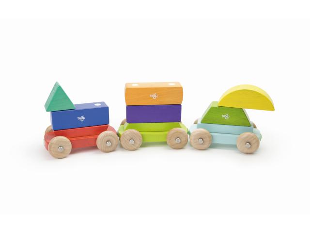 Tegu Baby,Shape Train - 0
