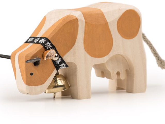 Kuh 1 fressend Simmentaler