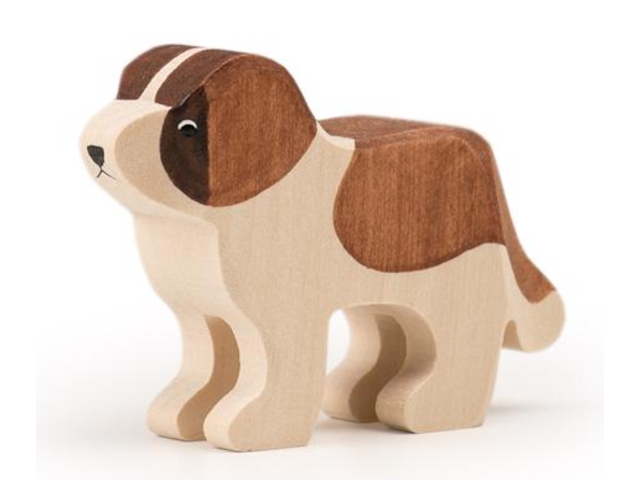 Bernhardiner Barry stehend mittel