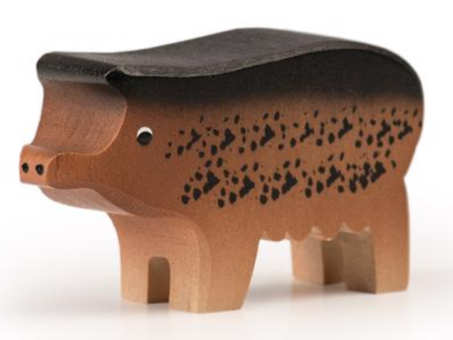 Wollschwein gross