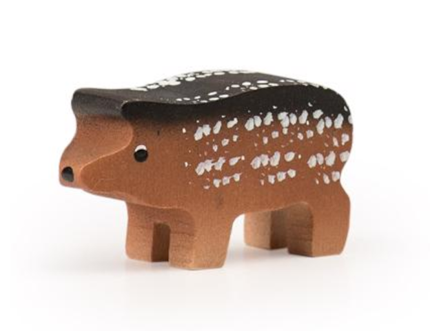 Wollschwein Ferkel