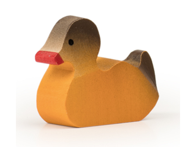 Ente braun