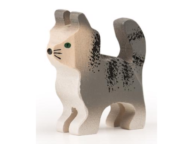 Katze Mr. Grey
