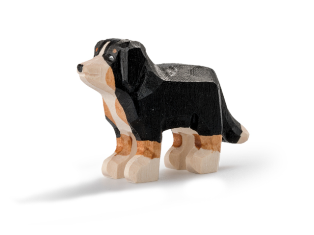 Appenzeller Sennenhund