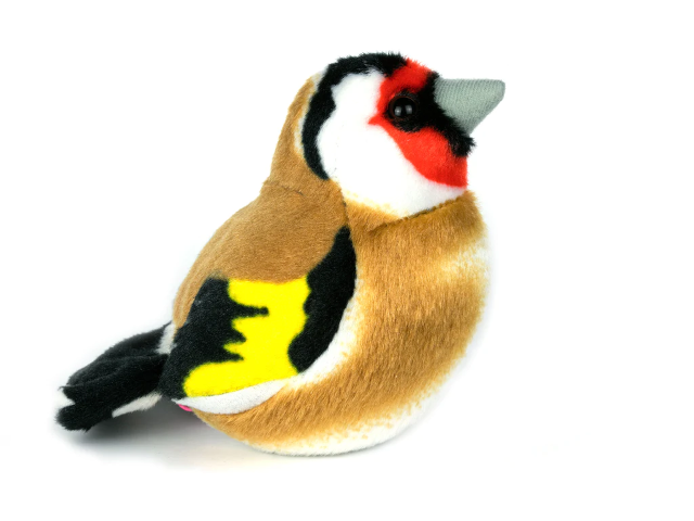 Singvogel Stieglitz / European Goldfinch