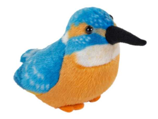 Singvogel Eisvogel
