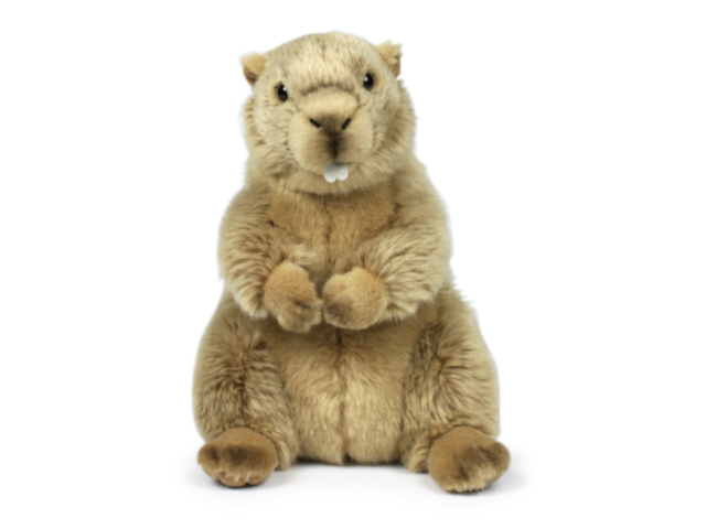 WWF Murmeltier 23 cm